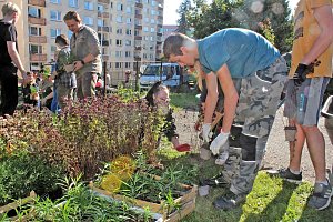 Od nového školního roku benešovská zemědělka nabídne nový maturitní obor - Design městské zeleně.