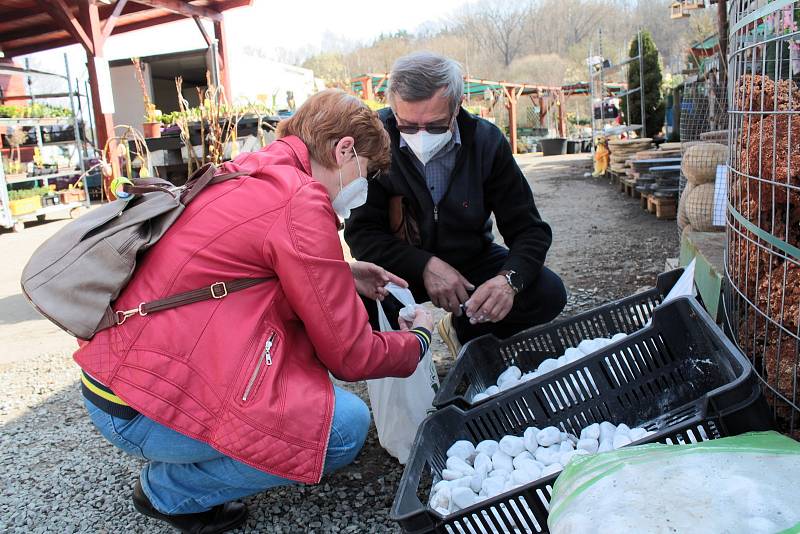 Na Zelený čtvrtek zákazníci vyrazili ve velkém za nákupy - zahradnictví Raud Benešov.