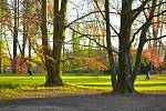 Ratměřický zámek se po dlouhé době dočkal nákladných oprav. Na začátku května bude zpřístupněný veřejnosti park, posléze i restaurace s hotelem. Zájemci se aktuálně mohou těšit na vycházky po krásném areálu ratměřického zámku.