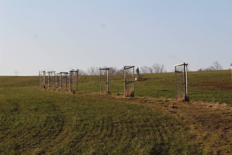 Mezi obcemi Soběhrdy a Petroupim už zase vede cesta a roubená je ovocnými stromy.