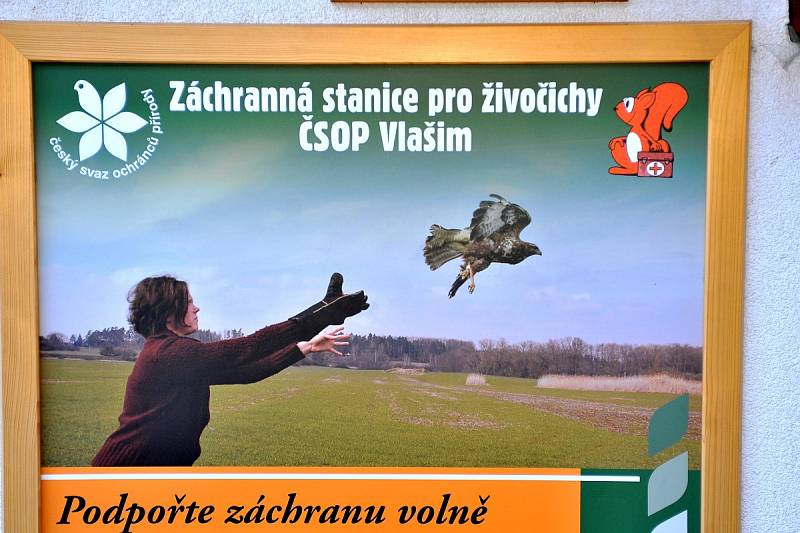 Zlatá neděle ve vlašimské paraZOO.