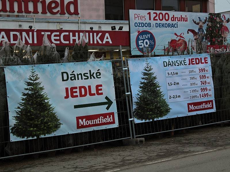 Prodej vánočních stromků na parkovišti u prodejny Mountfield v Křižíkově ulici v Benešově.