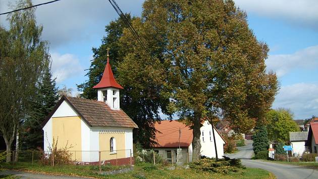 Studený