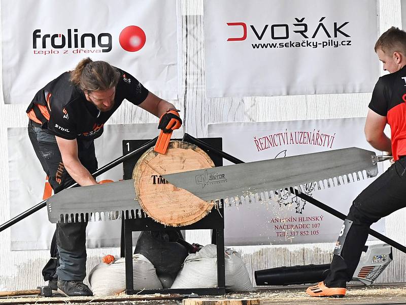 Z dřevorubecké soutěže Stihl Timbersports v zámeckém parku ve Vlašimi.