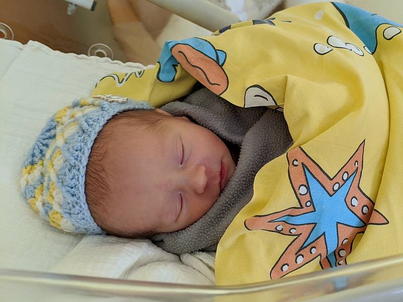 Vojtíšek Fišer se narodil Monice Němečkové a Romanu Fišerovi v benešovské nemocnici 20. července 2020 v 11.59 hodin, vážil 2770 gramů. Rodina bydlí v Chlístově.