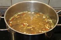 Recept na hrstkovou polévku.