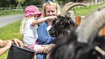 Farmapark Soběhrdy nabízí přímý kontakt se zvířátky i různorodé atrakce.