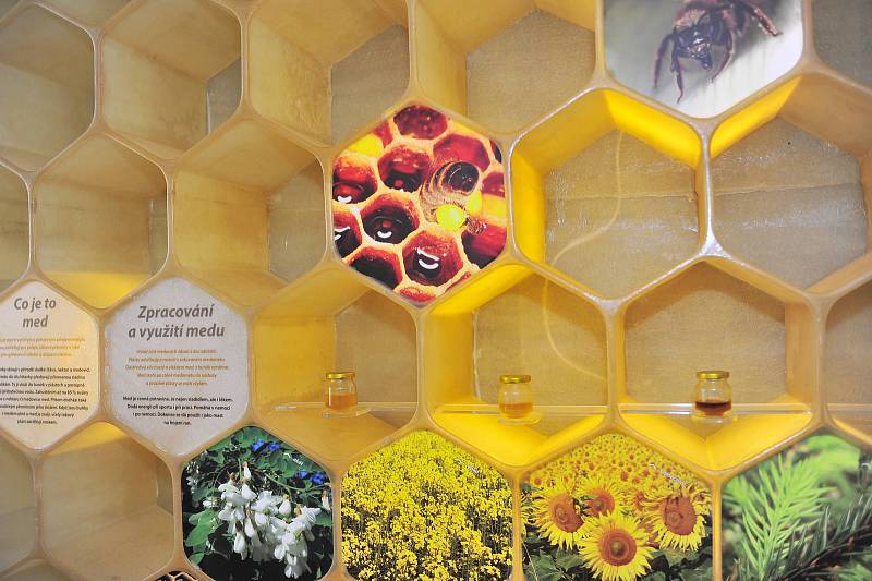 Sobota se ve Včelím světě nesla v tvořivém duchu