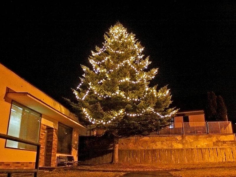 Vánoční strom v Peceradech.