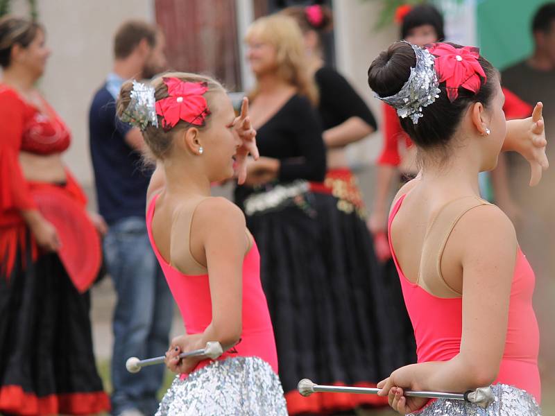 Benefiční festival na podporu dlouhodobě nemocných pacientů benešovské nemocnice Open door hospital fest. 