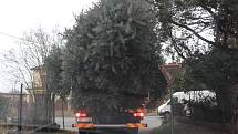 Převoz vánočního stromu na Masarykovo náměstí v Benešově.