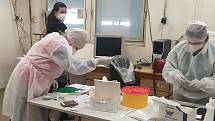 Testování zaměstnanců na přítomnost koronaviru ve firmě Baest v Benešově.