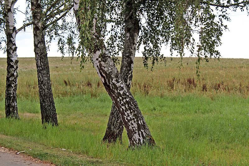 Fotokvíz: Poznáte obec na Benešovsku?