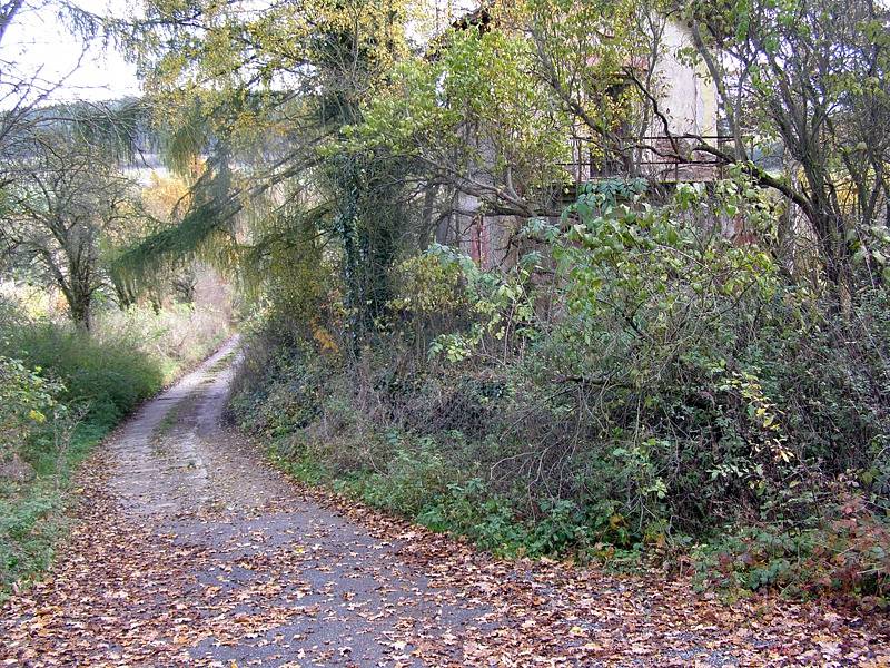 Cesta od zrušené železniční tratě mezi Bystřicí a Olbramovicemi do Opřetic.