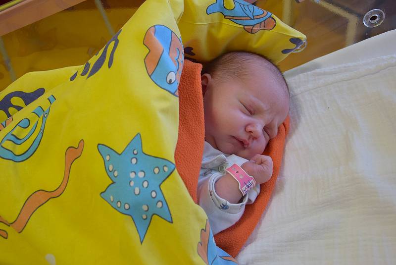 Lucie Pospíšilová se Tereze Hrbkové a Pavlu Pospíšilovi narodila v benešovské nemocnici 15. října 2021 v 10.45 hodin, vážila 3670 gramů. Lucie má sestru Terezku (4). Rodina bydlí v Miličíně.
