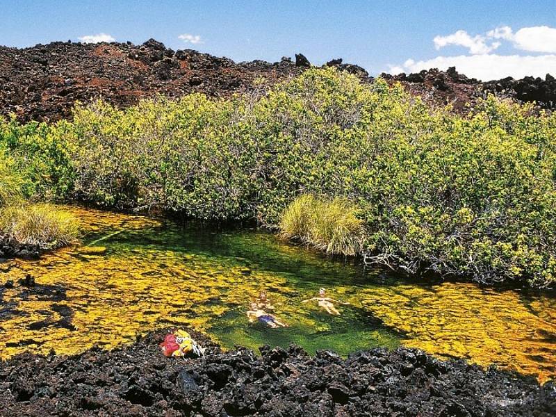 Známý cestovatel, fotograf a spisovatel Leoš Šimánek společně s manželkou, synem a dcerou navštívil všech šest hlavních havajských ostrovů a z exotické cesty pořídil stovky snímků