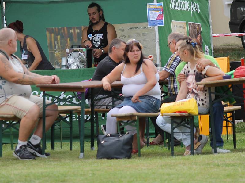 Benefiční festival na podporu dlouhodobě nemocných pacientů benešovské nemocnice Open door hospital fest. 