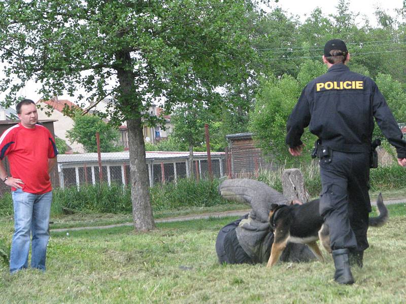 Policejní psovodi předvedli školákům čtyřnohé parťáky.