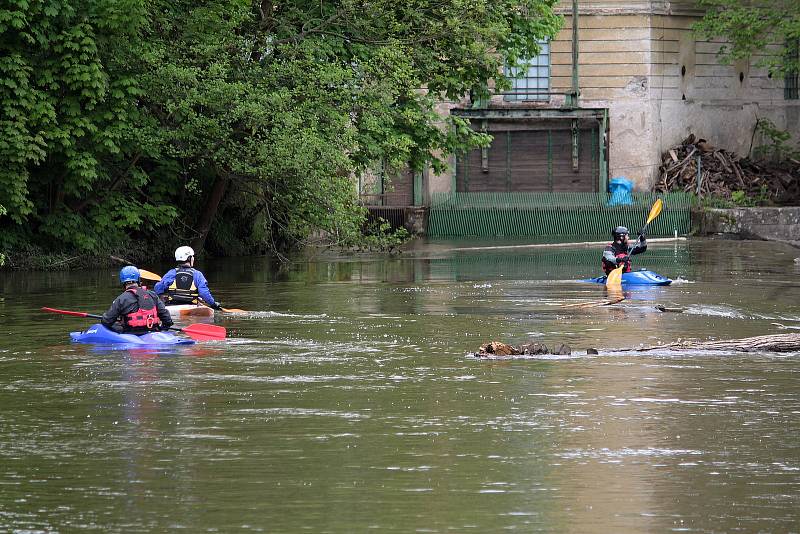 Vodáci si v neděli 23. května nenechali ujít příležitost pro své hobby. Ideální výšku hladiny využili k plavbě z Týnce nad Sázavou do Pikovic.