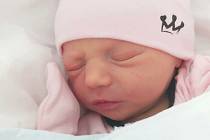 Kamila Plšeková se narodila dne 21. dubna 2021 v 15:45 v kladenské porodnici. Po porodu vážila 2814 g a měřila 46 cm. Maminka Kamila Tužová a tatínek František Plšek si odvezli Kamilku do kladenského bytu.