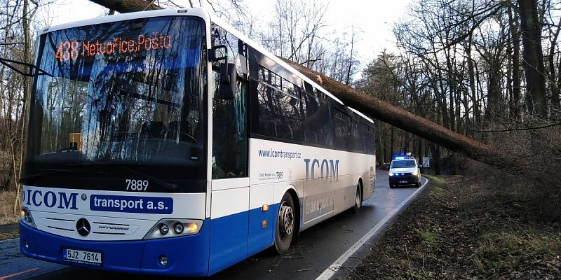 Spadlý strom na autobus na silnici mezi Benešovem a Konopištěm.