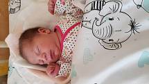 Lenka Čurejová se narodila 21. července 2021 ve 4.36 hodin v čáslavské porodnici. Pyšnila se porodní váhou 2900 gramů a délkou 49 centimetrů. Domů do Žlebů si ji odvezli maminka Helena, tatínek Lukáš, osmiletý bráška Diego, šestiletá sestřička Nela a dese