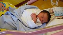 Jaroslava Tologová se Anetě Tologové narodila v benešovské nemocnici 30. dubna 2022 v 11.18 hodin, vážila 2520 gramů. Bydlištěm rodiny je Sázava.
