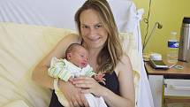 Malá Anička Vorlová, prvorozená dcerka manželů Jany a Martina Vorlových z obce Řehenice, se narodila v pondělí 12. června ve 14.18. Při narození vážila 2 850 gramů a měřila 47 centimetrů.