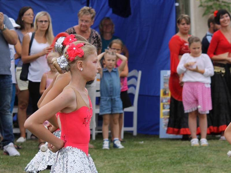 Benefiční festival na podporu dlouhodobě nemocných pacientů benešovské nemocnice Open door hospital fest. 