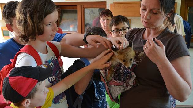 Děti z Dětského domova Racek navštěvují Vlašim a přilehlé okolí každoročně.