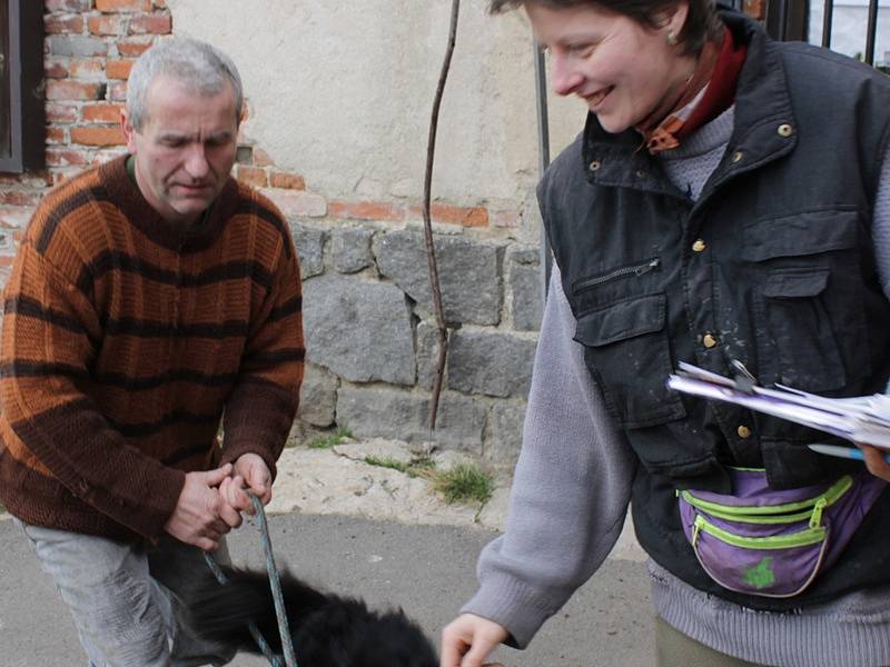 Šťastný den pro pejska i jeho nového pána, setkání v maršovickém útulku. 