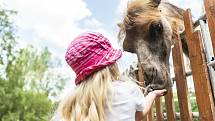 Farmapark Soběhrdy nabízí přímý kontakt se zvířátky i různorodé atrakce.