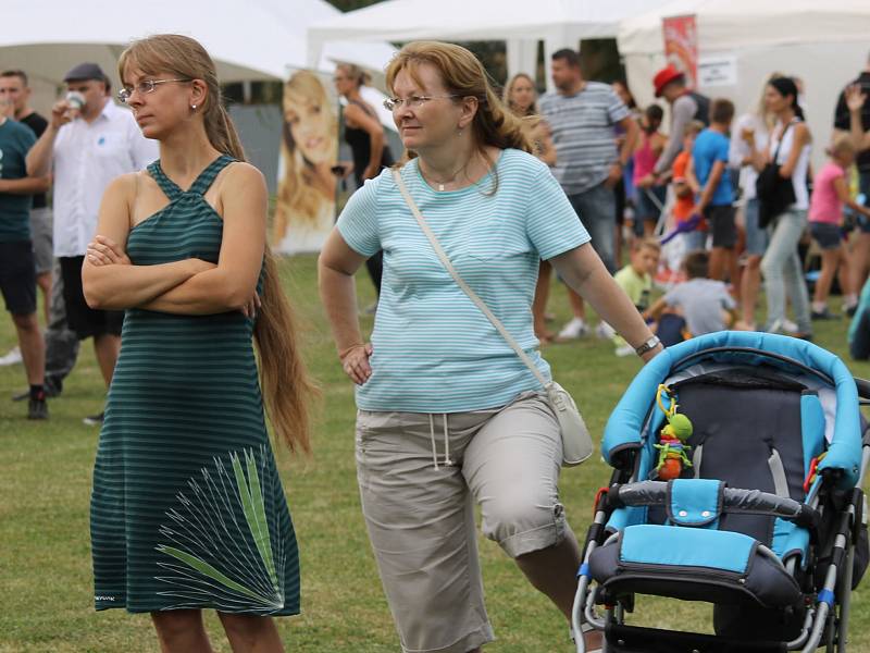 Benefiční festival na podporu dlouhodobě nemocných pacientů benešovské nemocnice Open door hospital fest. 