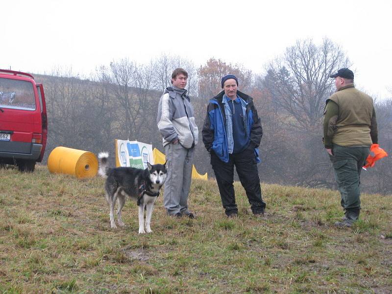 Závody psích spřežení ve Voticích