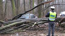 I to je dopravní nehoda a vyšetřuje ji policie.