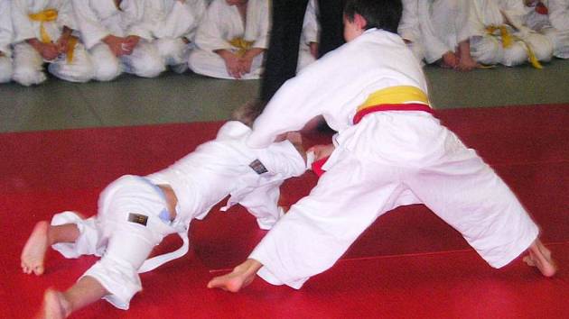 Benešovské mladé pušky se velmi dobře perou na tatami, což jim přináší úspěchy