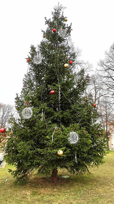 Vánoční strom na Ješutově náměstí v Bystřici u Benešova. Foto: Radka Macháčková