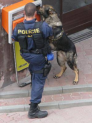 Policejní psovod hledá bombu na poště v Benešově.