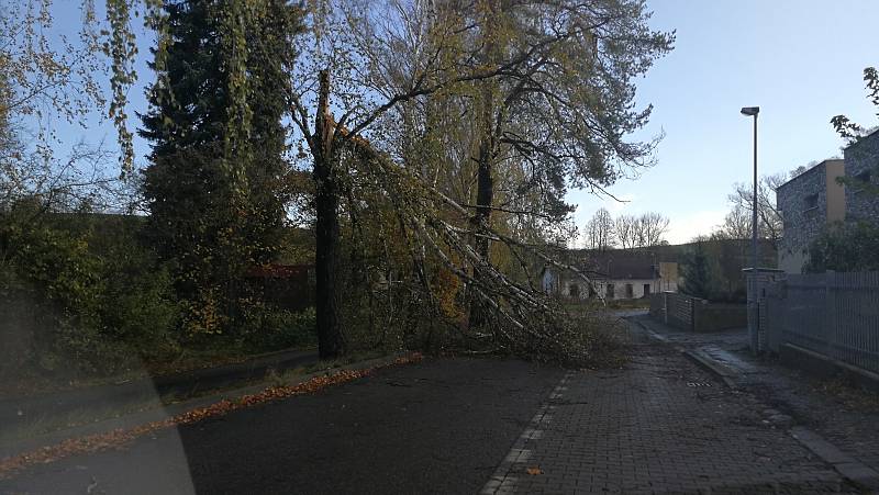 Polámané stromy na benešovském hřbitově a v ulici U Vodárny.