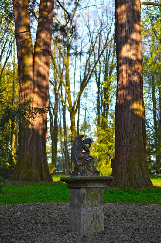 Ratměřický zámek se po dlouhé době dočkal nákladných oprav. Na začátku května bude zpřístupněný veřejnosti park, posléze i restaurace s hotelem. Zájemci se aktuálně mohou těšit na vycházky po krásném areálu ratměřického zámku.