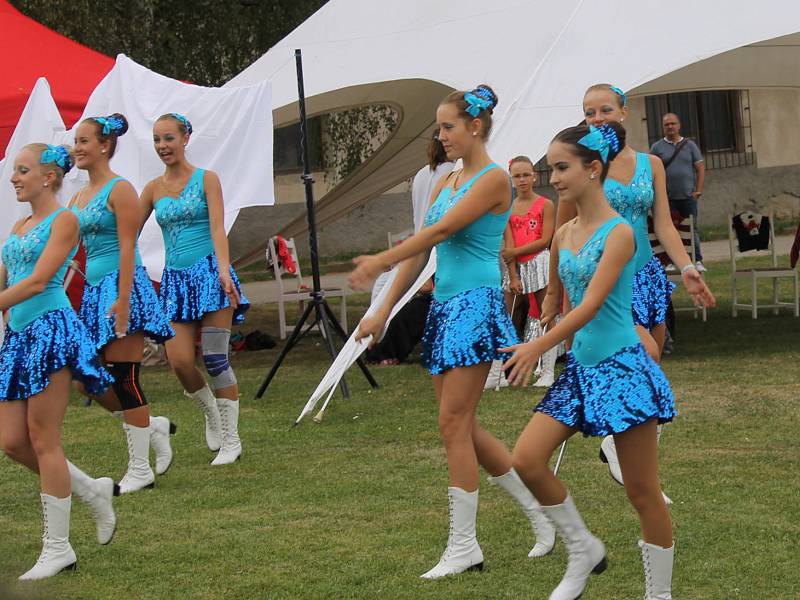 Benefiční festival na podporu dlouhodobě nemocných pacientů benešovské nemocnice Open door hospital fest. 