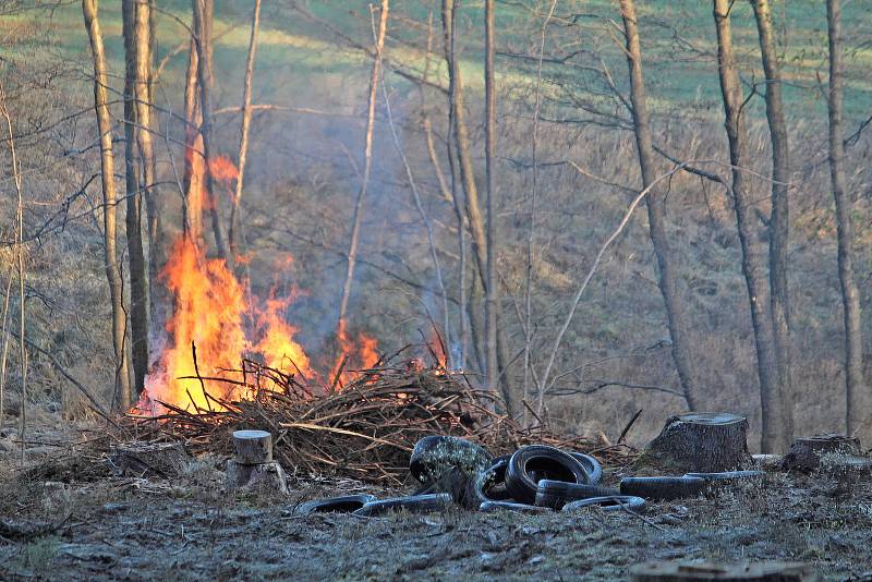 Z úklidu lesa po těžbě dřeva na sever od Trhového Štěpánova.