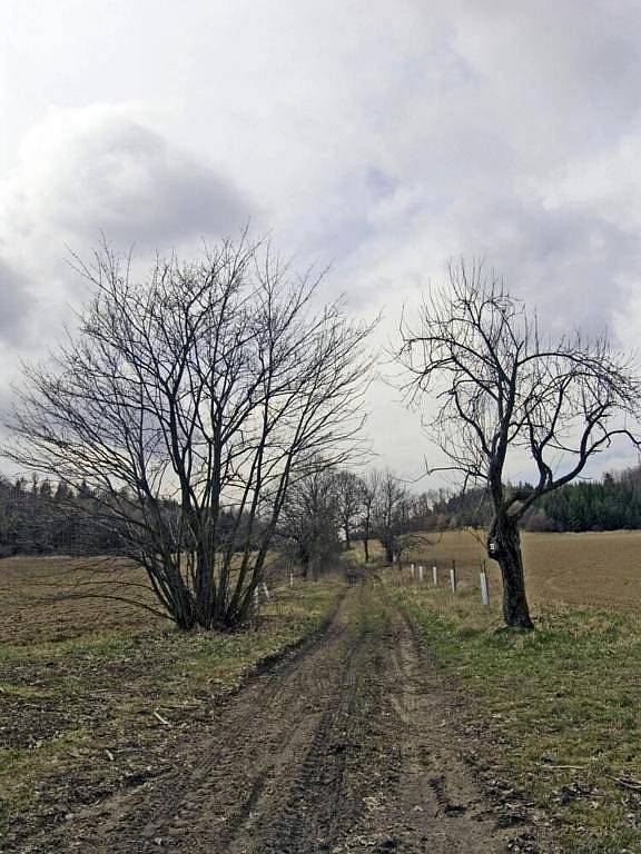 Momentky ze stezky Po stopách Sidonie Nádherné