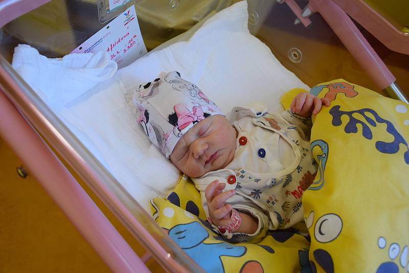 Mia Landfeldová se manželům Vendule a Pavlovi narodila v benešovské nemocnici 26. června 2022 v 11.16 hodin, vážila 3380 gramů. Doma ve Voticích na ni čekal bratr Samuel (1,5).