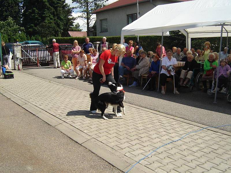 Tanec se psy předvedla děvčata z Benešova na sobotním srazu heligonkářů v Jankově