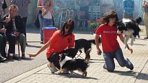 Tanec se psy předvedla děvčata z Benešova na sobotním srazu heligonkářů v Jankově