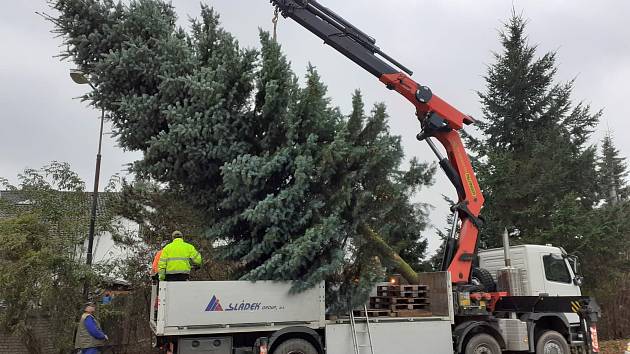 Transport vánočního stromu v Benešově.