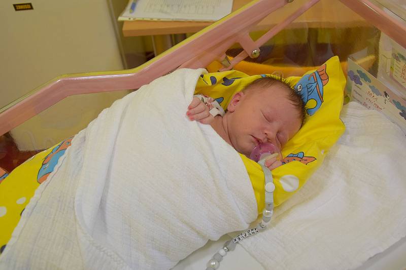 Sára Vylítová se Michaele Houdkové a Martinu Vylítovi narodila v benešovské nemocnici 20. ledna 2022 v 22.14 hodin, vážila 3360 gramů. Doma v Miličíně ji čekala sestřička Sofie (4).