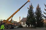 Vánoční strom na Ješutově náměstí v Bystřici u Benešova. Foto: Radka Macháčková