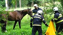 Přívěsný vozík s kobylou se v úterý po 16. hodině před Bučovicemi utrhl i se závěsem od auta, sjel do potoku Mastník, kde narazil do stromu a převrátil se.